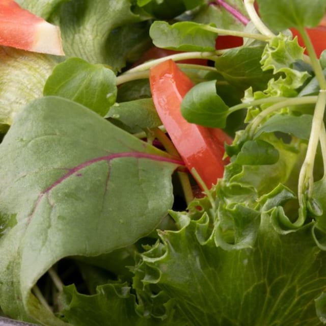 Garden Salad.